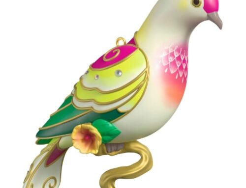 2025 Double Take: Fruit Dove